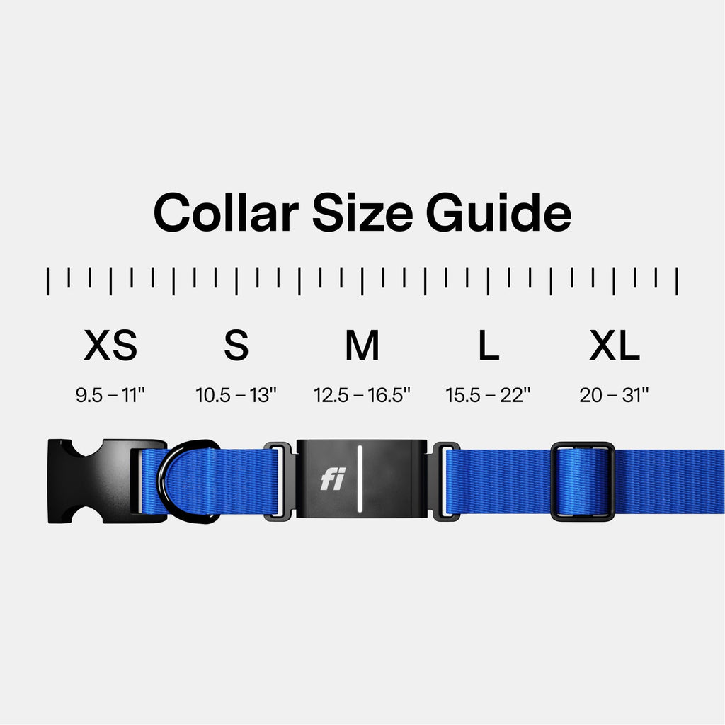 GPS Dog Collar & Tracker Z814