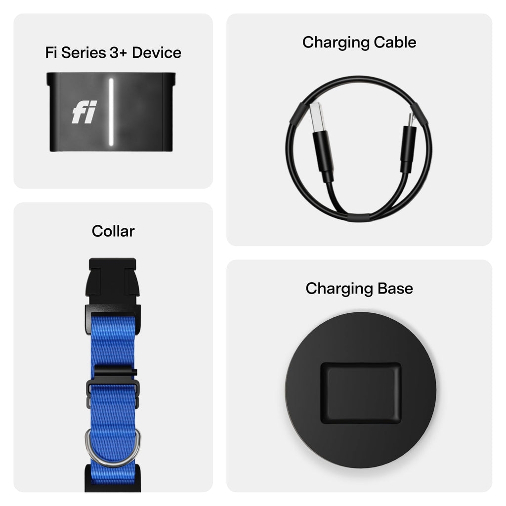 GPS Dog Collar & Tracker Z814