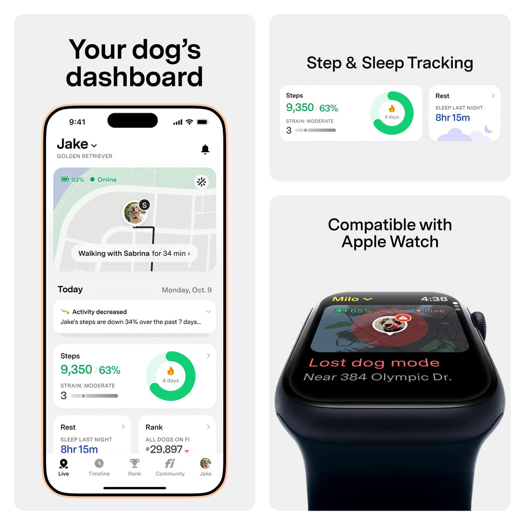 GPS Dog Collar & Tracker Z814