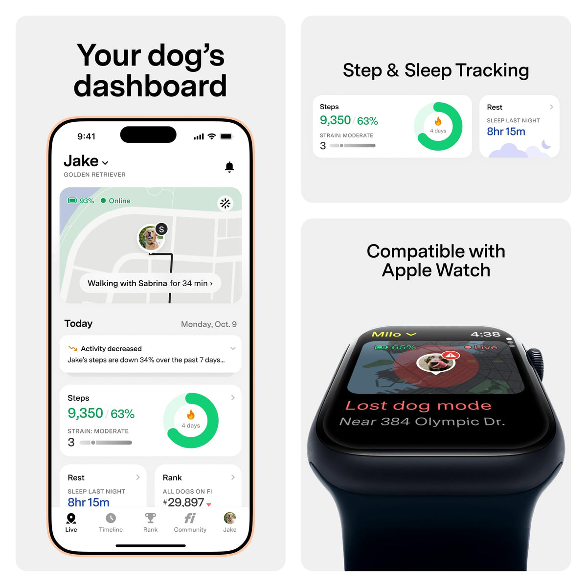 GPS Dog Collar & Tracker Z814