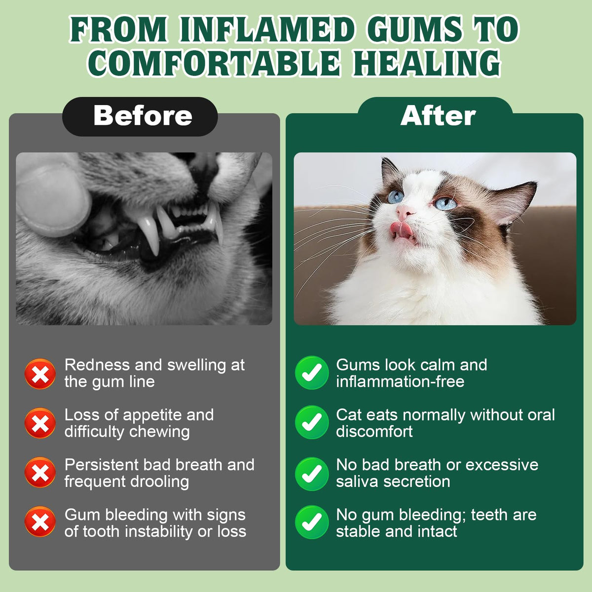 Natural Plant-Based Cat Oral Care 4 oz S55675