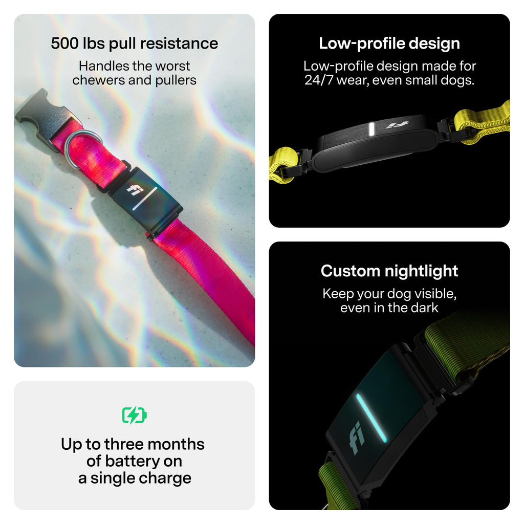 GPS Dog Collar & Tracker Z814