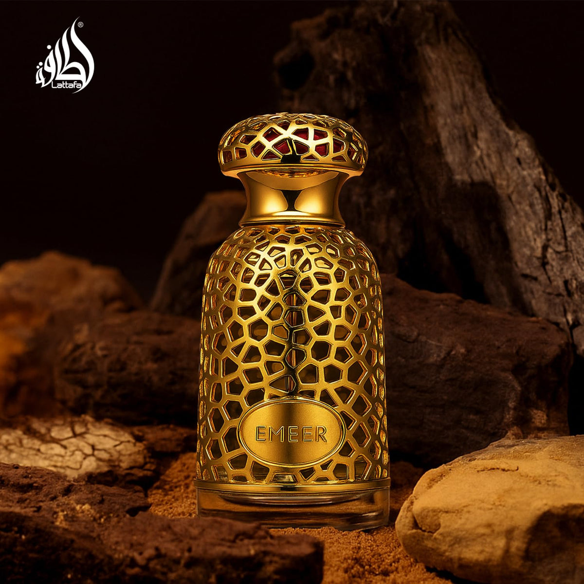 Eau de Parfum Spray 3.4 Ounce N1529