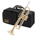 Bb Trumpet with Yellow Brass Bell and Stainless Steel Valves R33449