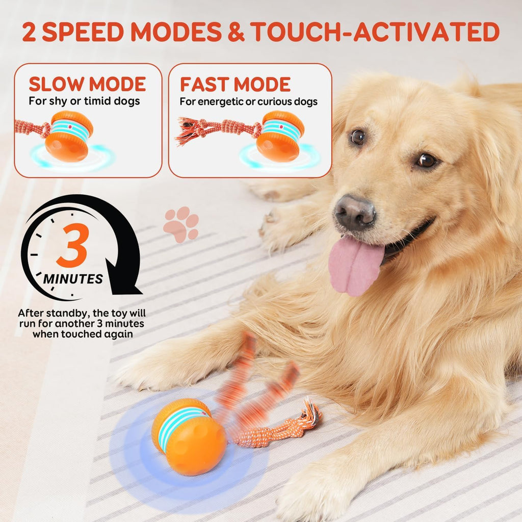 Electric Moving Dog Ball with Rope Z8950