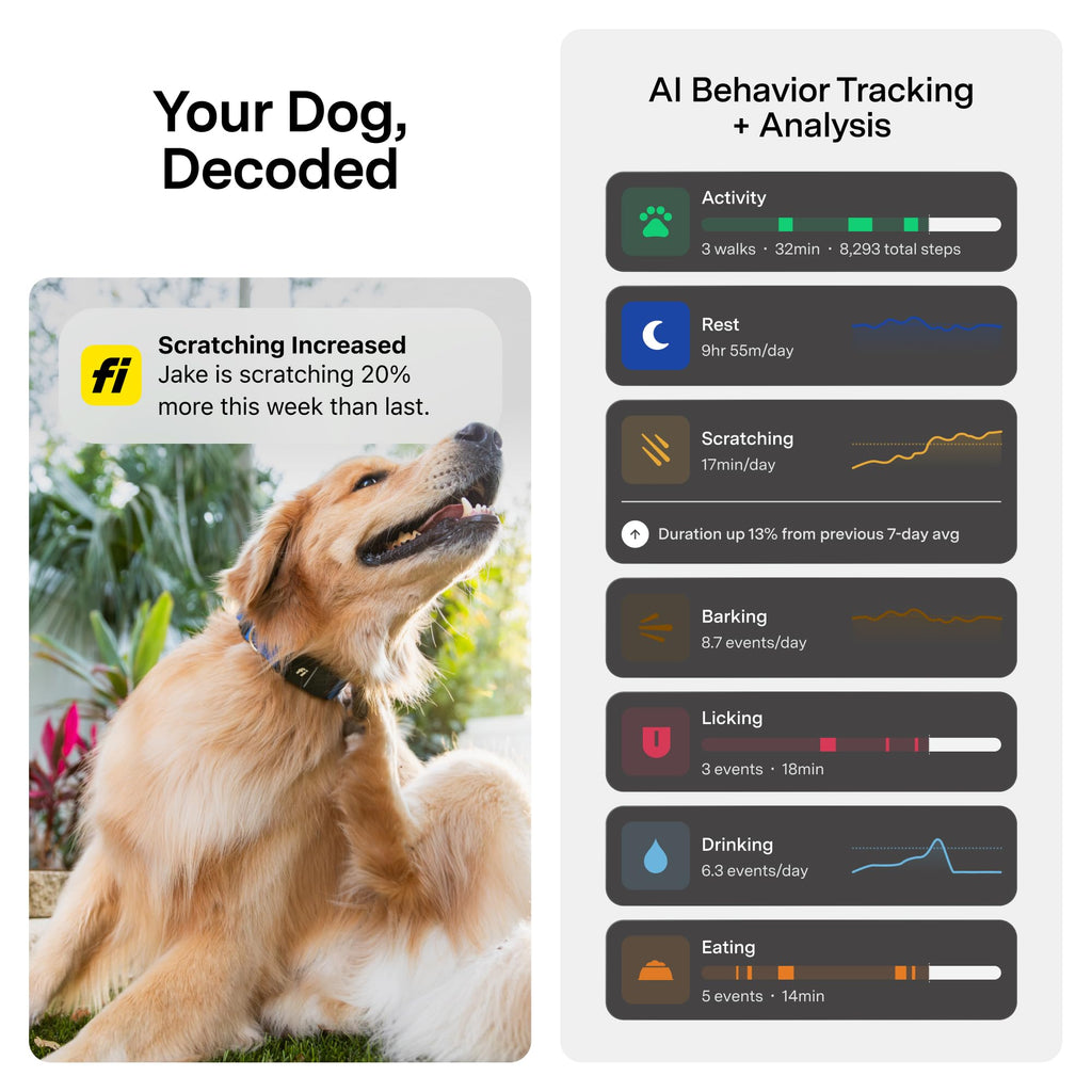 GPS Dog Collar & Tracker Z814
