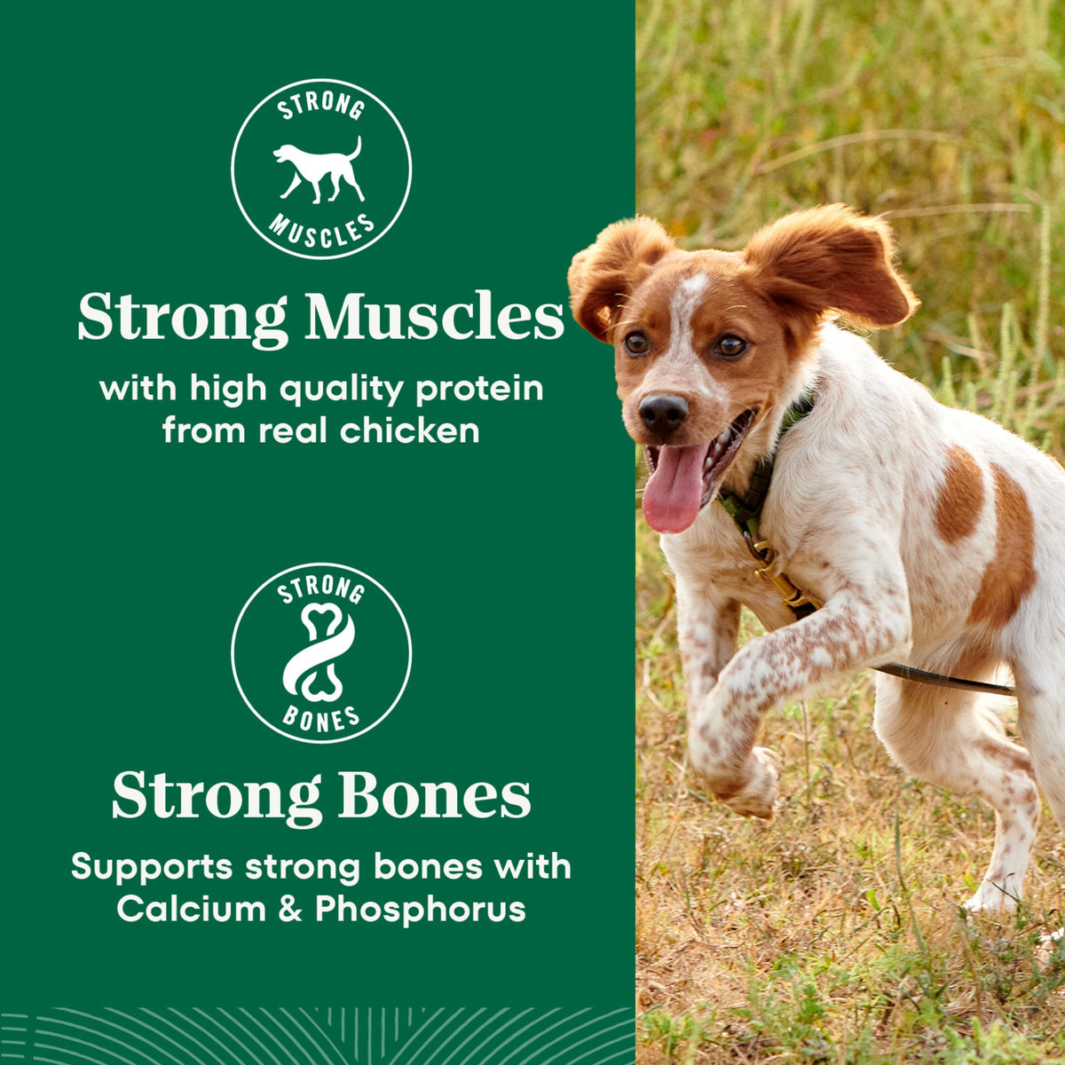 Chicken & Rice Small Breed Dry Dog Food 5 lb R914