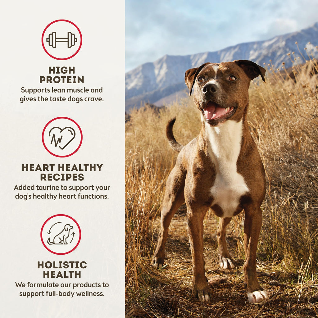 Grain Free Dehydrated Beef Recipe Dog Food 2 lb Bag M49978