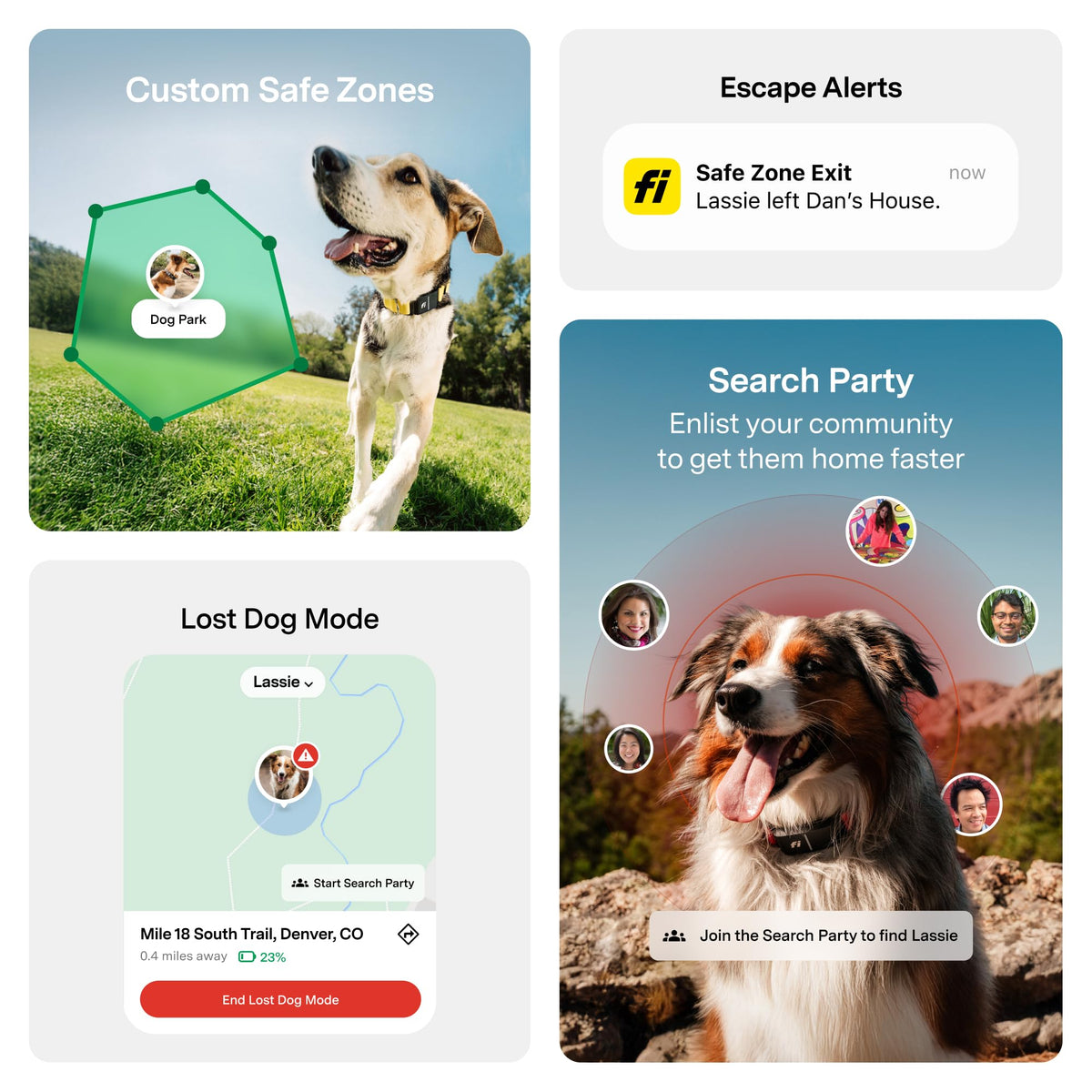 GPS Dog Collar & Tracker Z814