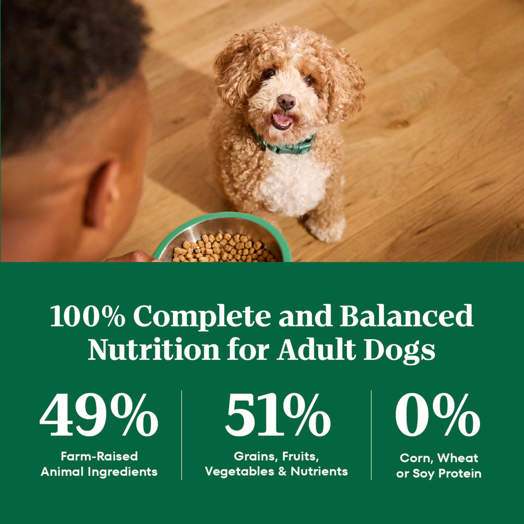 Chicken & Rice Small Breed Dry Dog Food 5 lb R914