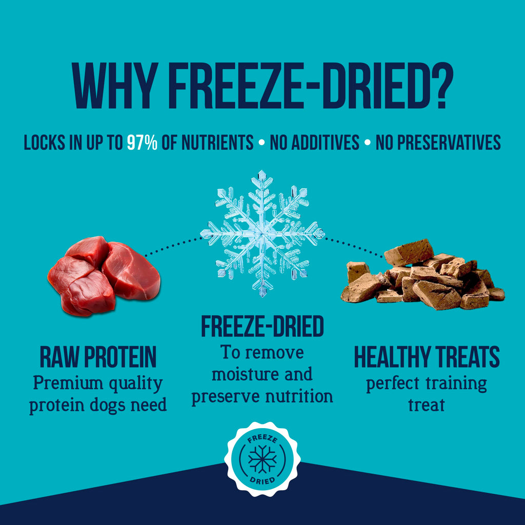 Freeze Dried Beef Liver Dog Treats 21 oz Tub I415603