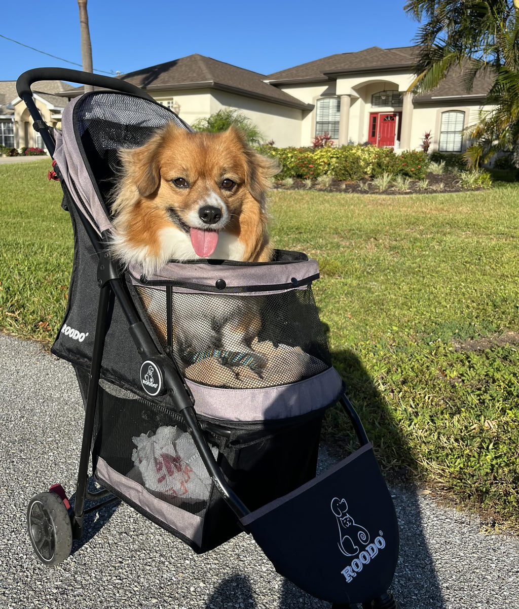 3 Wheel Pet Stroller J70759